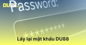 Lấy lại mật khẩu DU88