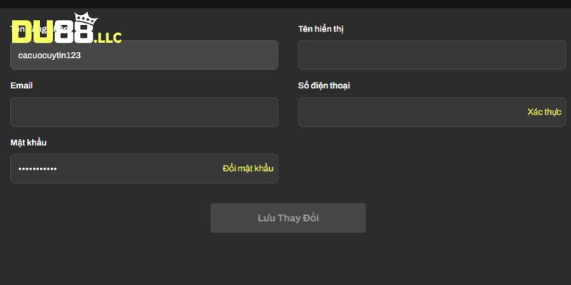 Người chơi cập nhật dữ liệu liên quan đến thông tin cá nhân